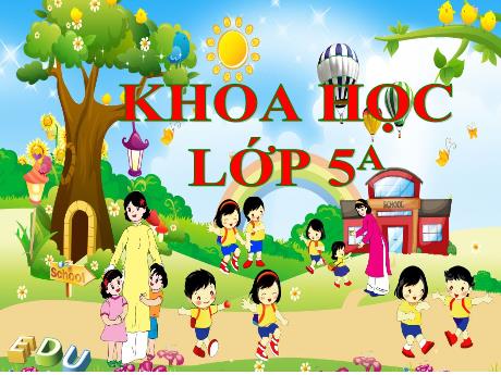 Bài giảng Khoa học 5 - Bài: Thủy tinh - Năm học 2023-2024 - Phan Thị Thu Hiền