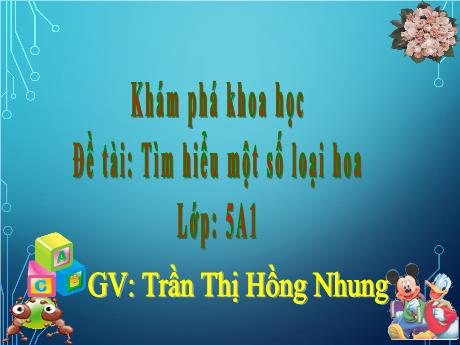 Bài giảng Mầm non Lớp Lá - Đề tài: Tìm hiểu một số loại hoa - Trần Thị Hồng Nhung
