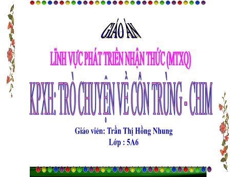 Bài giảng Mầm non Lớp Mầm - Lĩnh vực: Phát triển nhận thức - Trò chuyện về côn trùng và chim - Trần Thị Hồng Nhung