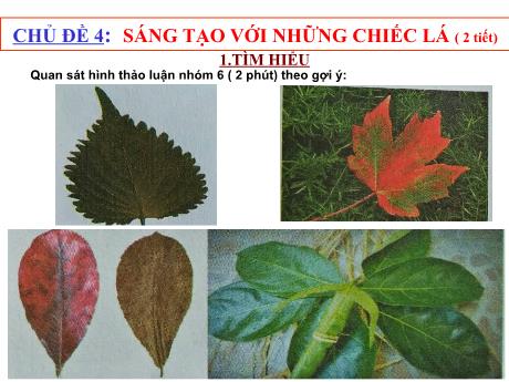 Bài giảng Mĩ thuật 5 - Chủ đề 4: Sáng tạo với những chiếc lá (2T) - Trường Tiểu học Sơn Long