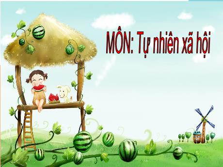 Bài giảng Tự nhiên xã hội 1 - Bài: Ôn tập và đánh giá chủ đề Trường học (T1) - Trường Tiểu học Sơn Long